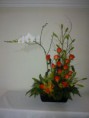/album/cumpleanos/orquidea-sensacion-1-750-jpg/